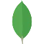 MongoDB